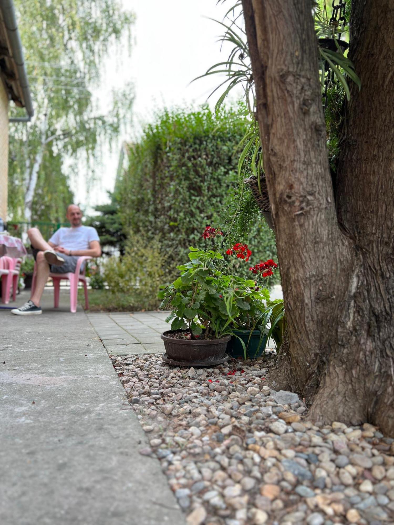 Bezdan Guesthouse Exterior photo