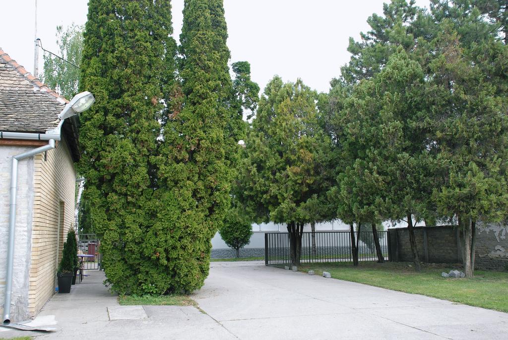 Bezdan Guesthouse Exterior photo